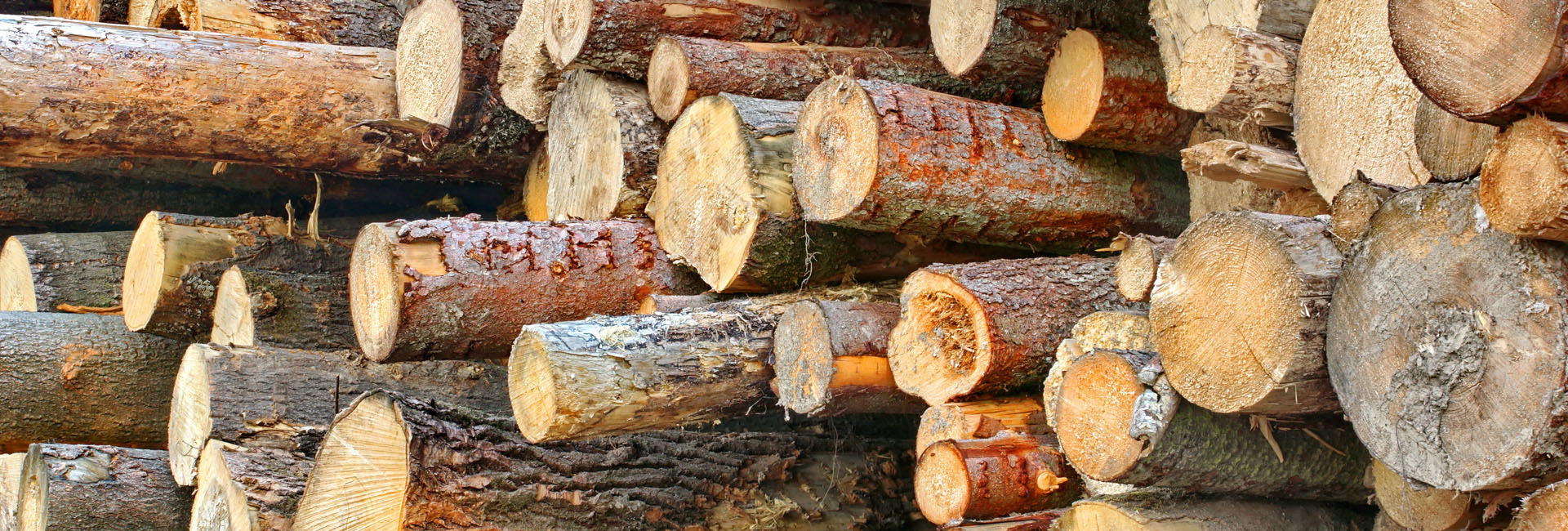 Logs